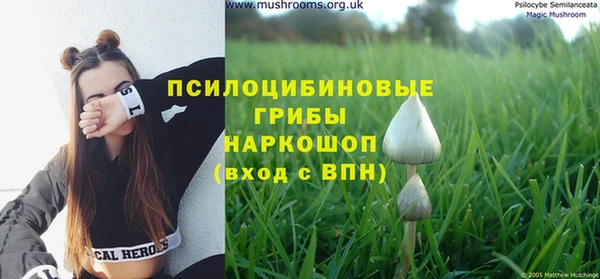 прущая мука Баксан