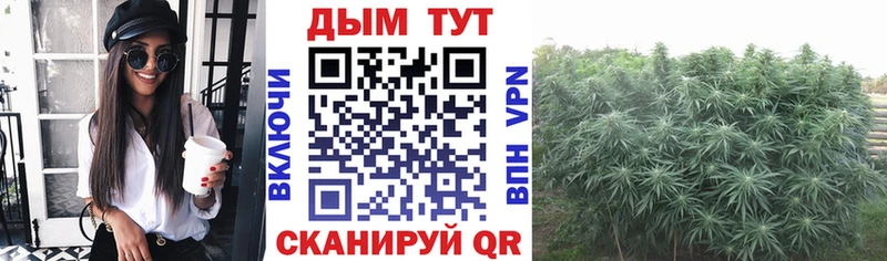 Бошки Шишки конопля Борисоглебск